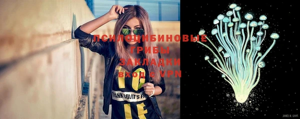 а пвп мука Аркадак